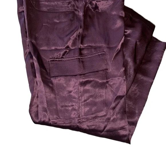 NWT Young Fabulous & Broke Findlay Satin Cargo Carpenter Pants in Raisin - M - Picture 11 of 16